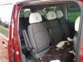 7+1  seater MB Vito